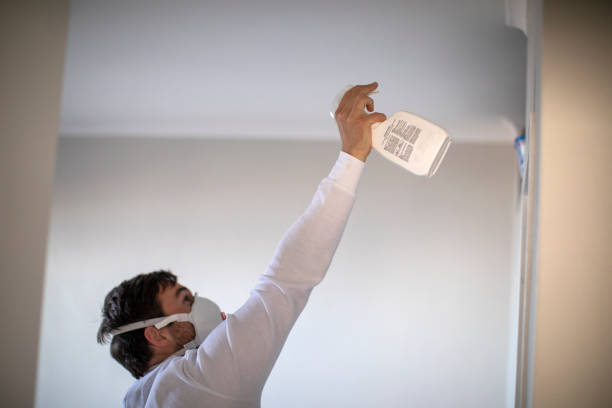 Harrison, NY Mold Removal Company