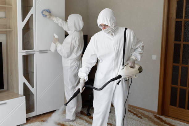 Mold Testing and Removal in Harrison, NY